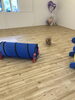 Ｇroくん全力で走るっ「ましゅまろ幼稚園　^ - ^」