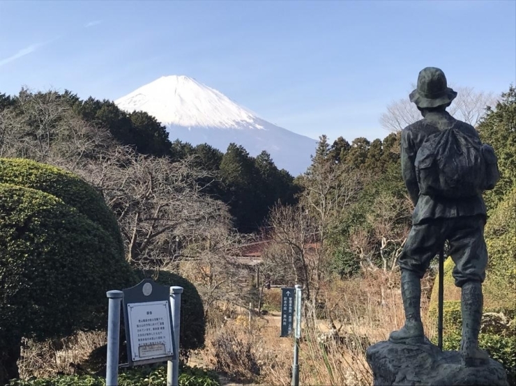 秩父宮記念公園を散歩していたら、富士山がきれいだったので思わずパシャリ！<br>冬の澄んだ空気のせいでしょうか？富士山がくっきり見えました^^<br>この季節の秩父宮記念公園の散歩もオススメです。<br>【 アンディ さんからの投稿】