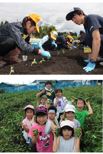 上）農産物を育てる楽しさを学ぶ児童
下）収穫を喜ぶ児童「JA八戸」