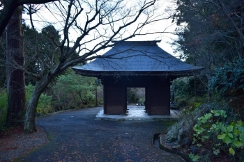 普門寺　仁王門を裏手より