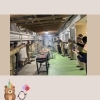 ～　BBQの様子　～「とても賑やかなBBQを開催しました！」