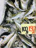 「魚魚市場鮮魚コーナーおすすめは「天然鯛・アジ」入荷しました♪」