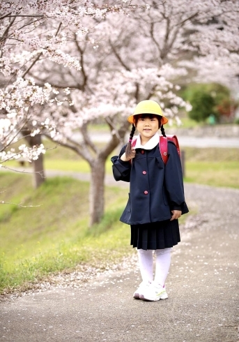 お気に入りの公園へ出張撮影に行きます！「桜ロケーション撮影は前写しがおススメです(^^♪」