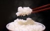 Amazon.co.jp: 【精米】 埼玉県産 彩のかがやき 10kg 令和6年産