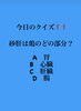 「2月12金曜日今日のクイズ!!『砂肝は鶏のどの部分？ A.胃 B.心臓 C.肝臓 D.腸』本日のおすすめmenu✨子供から大人まで皆大好き!!いくら丼……1,600円です。漁協の食堂でいくら丼ランチはいかがでしょうか？」