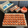 西川養鶏場　麦花石美人たまご「ごせブランドに新たに２商品が認定されました！」