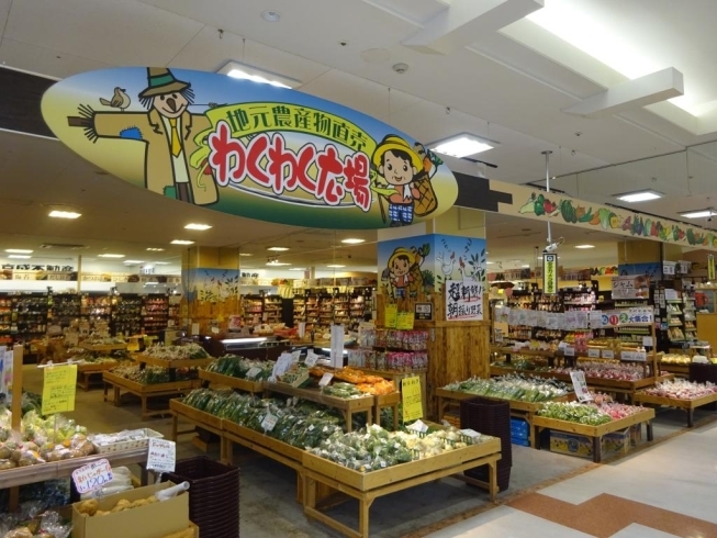 「わくわく広場 ユアエルム成田店」～毎日新鮮な野菜をご提供します！～