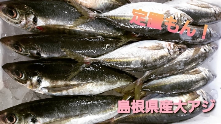 本日のお刺身 定置もん 島根県産チコ鯛 大アジ 寺津屋 仕出し 会席料理のニュース まいぷれ 松江 本日のお刺身 定置もん 島根県産チコ鯛 大アジ 寺津屋 仕出し 会席料理のニュース まいぷれ 松江