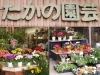 たかの園芸 花 ガーデニング まいぷれ 小松市