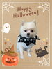 「Dog salon mofu mofu　余市町」