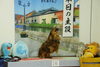 ライラちゃん「今日のお友達」