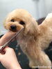 「冬のオプションキャンペーン　^o^」