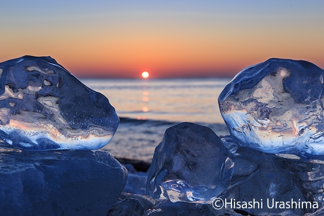 海岸に打ち上げられる氷の宝石 ジュエリーアイス 十勝のイベント 特集 まいぷれ 帯広 十勝
