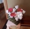 「玄関のお花🌼」
