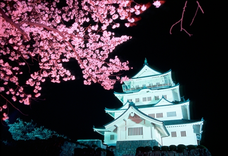 亥鼻公園 千葉城 千葉市中央区 お花見するならここ 千葉 船橋 市川 習志野 鎌ケ谷の 桜 特集 22年 まいぷれ 千葉市 亥鼻公園 千葉城 千葉市中央区 お花見するならここ 千葉 船橋 市川 習志野 鎌ケ谷の 桜 特集 22年 まいぷれ 千葉市