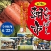 【ふなばし朝市】6月22日船橋大神宮にて開催！　船橋産の新鮮な食材やテイクアウトグルメ