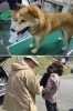 「ほんご動物病院」