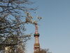 ❹大通公園西４丁目のキタコブシ（エゾコブシ）「桜の季節となりました～開花状況観てある記」