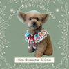 「Dog salon mofu mofu　余市町」