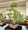「入笠やまの花友の会 秋の展示会 開催のお知らせ🍂」