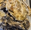 生牡蠣「29日食材取り揃えてお待ちしております✨」