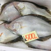 「魚魚市場鮮魚コーナーおすすめは「トビウオ・カマス」です♪」