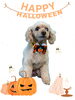 「Dog salon mofu mofu　余市町」