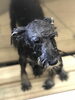 シャンプー中〜「はじめまして^ - ^」