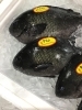 「魚魚市場鮮魚コーナーおすすめは「キンメダイ・クロ」です♪」