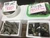 「魚魚市場鮮魚コーナーおすすめは「チカメキントキ」です♪」