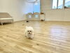 クレアちゃん　ちょこちょこ走り中☺️「ましゅまろ幼稚園🐾パート２」