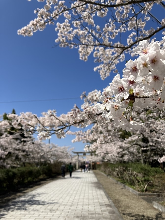 名和神社  大山町名和