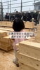 「三良坂町現場｜深い朝霧のなか迎えた上棟！ご家族の想いを込めた記念の「柱建て」」