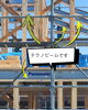 「モデルハウス上棟しました！！【村上市・関川村で理想の注文住宅を建てるなら！茂原建設にお任せください】」