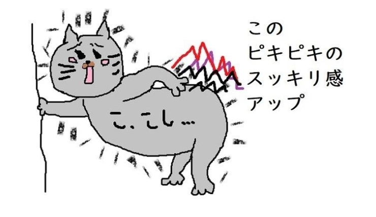 完全保存版 あなたも60分で超絶スッキリ エステなのに痛ーい と 完全保存版 あなたも60分で超絶スッキリ エステなのに痛ーい と