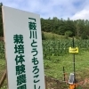 2023年度　薮川とうもろこし作り体験会　参加者募集スタート