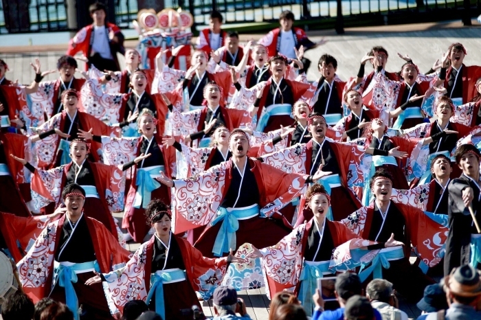 ～お祭り会場周辺のおすすめ宴会スポットをご紹介～