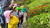 「年長組　たけのこ掘り＆佐世保花園」