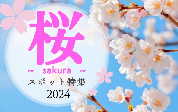桜スポット特集2024【新発田・胎内・聖籠】