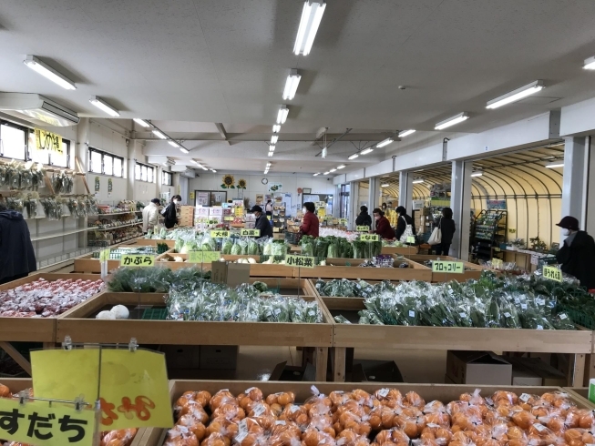 ひまわり農産市　鴨島店「ひまわり農産市の新規会員を募集しています❗️」