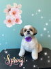 「可愛い子ちゃん♡ Dog salon mofu mofu 余市町」