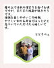 ごあいさつ「【今週のお弁当のご紹介】」