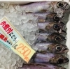 「魚魚市場鮮魚コーナーおすすめは「のどぐろ・クロムツ」です♪」