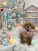 ココちゃん「MerryXmas🎄」