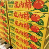 「「庄内柿」の入荷も始まっていますよ～♪♪」