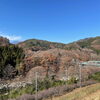 「干し柿 吊るしませんか？」