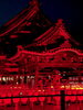 「今週末は夜間拝観ライトアップを開催致します。」