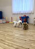 寿ちゃんとはぴちゃん♡「ましゅまろ幼稚園」