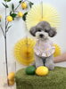 むくちゃん「わんことレモン🍋」