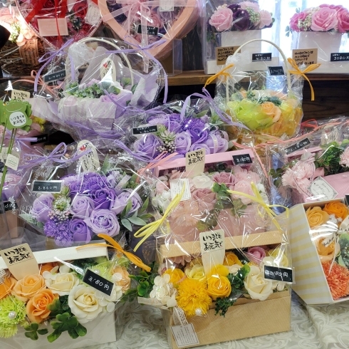 「【はなやホック皆生店】秋の花達」